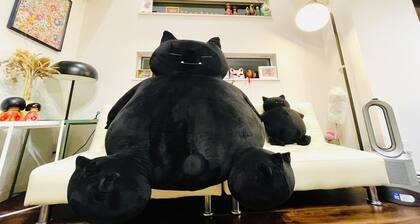 A house in a quiet residential area in Shinjuku-ku! Nearest station 1 min, 4 stations, within 10 min to Shinjuku station