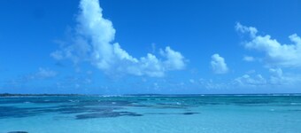 Small cottage with garden in a gated community