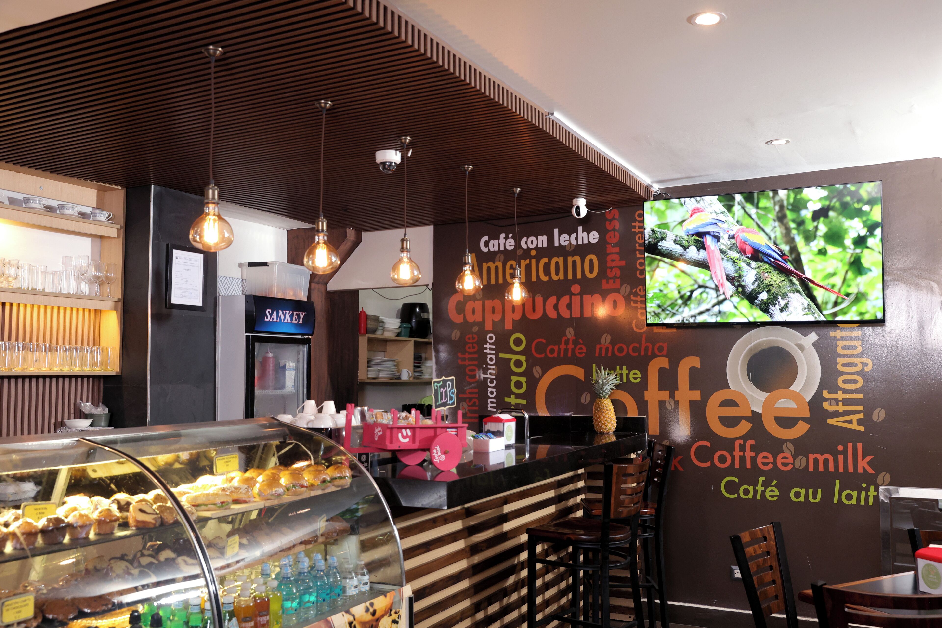 Foto - Hotel Cultura Plaza