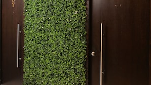 Two dark wooden doors with a green leafy wall between them. - Hotel Cultura Plaza (San José)