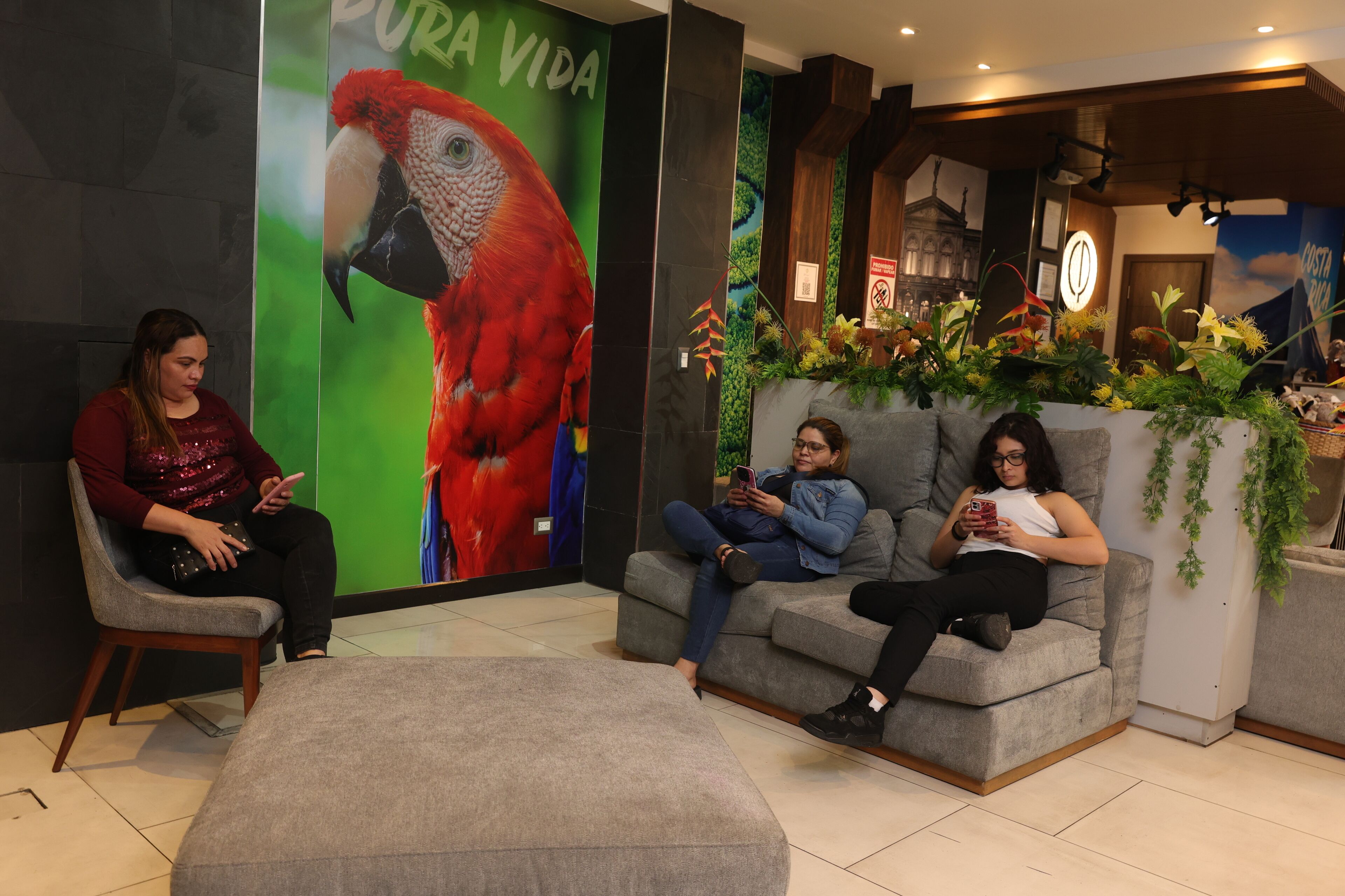 Three people seated on a grey couch in a lobby with a large parrot mural, a clock, and indoor plants.