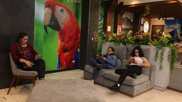 Three people seated on a grey couch in a lobby with a large parrot mural, a clock, and indoor plants.