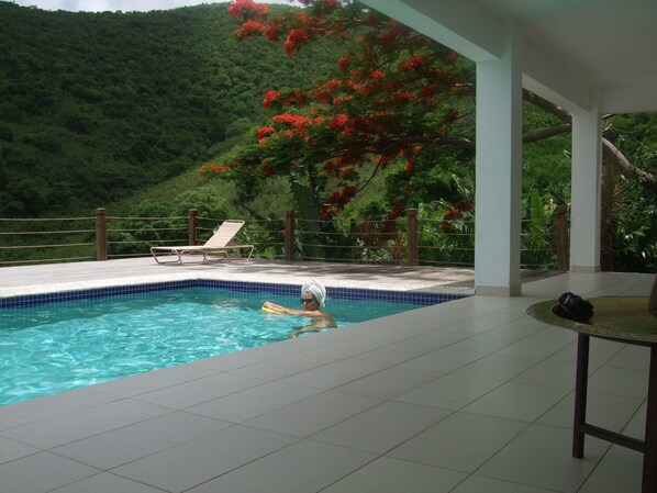Outdoor pool - King size bedroom with direct access to garden and private swimming pool. (Cole Bay)