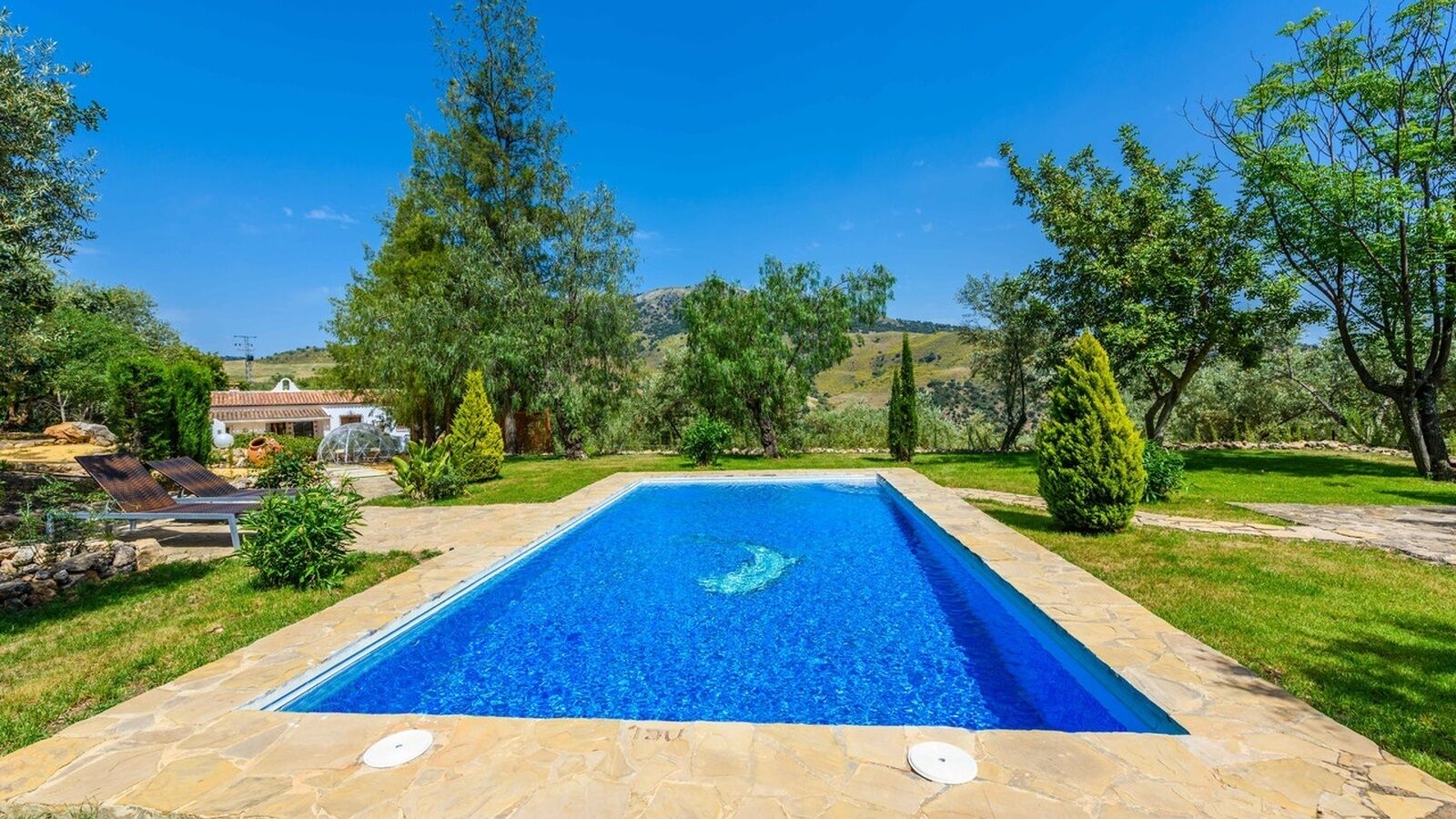 A rectangular swimming pool with a clear blue water surface, surrounded by a stone deck and lush greenery.