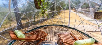 Los Algarrobales - El Rancho Montecorto by Ruralidays