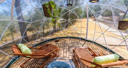 Los Algarrobales - El Rancho Montecorto by Ruralidays