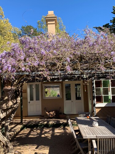 Snowdrift Cottage  at Springwell - Historical Farm Stay