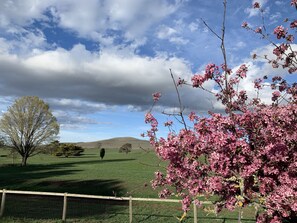Property grounds - Snowdrift Cottage  at Springwell - Historical Farm Stay (The Brothers)