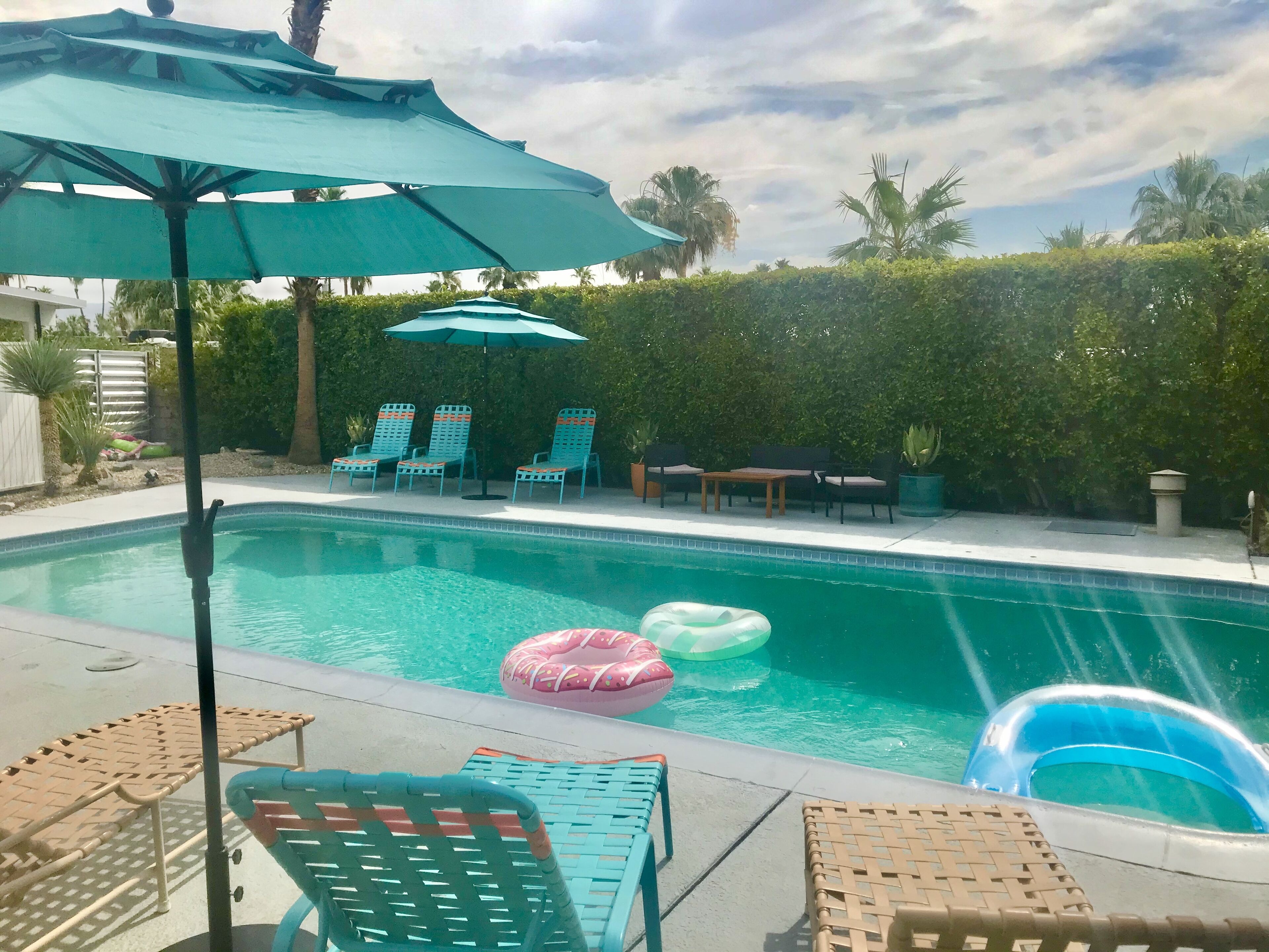Desert Holly Mid Century House