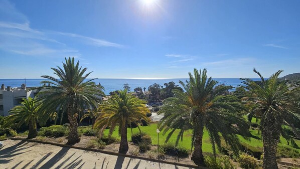 Property grounds - CARDELLINI 10- POOL IN RESIDENCE - SEA VIEW-CLIM (SOLENZARA)