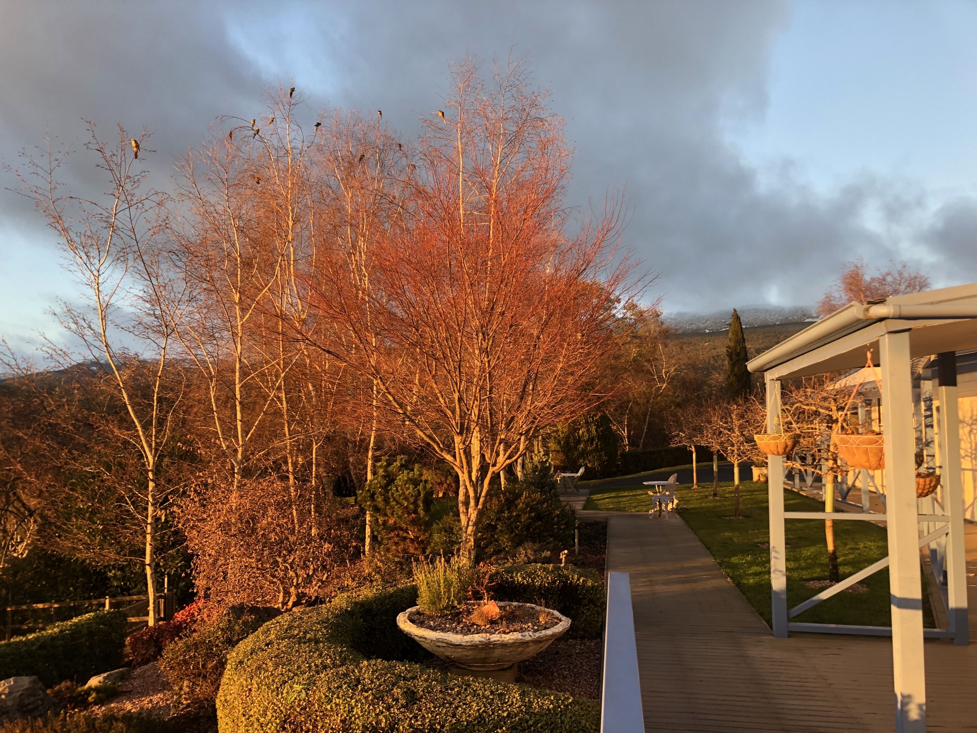A garden pathway leading to a building with a covered area.