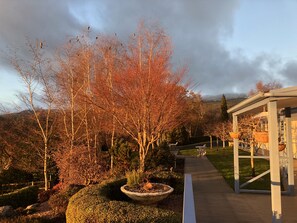 A garden pathway leading to a building with a covered area.