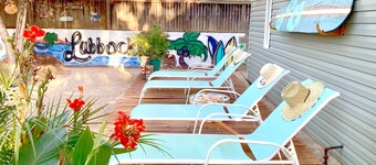 The Bung - Waves of Fun!