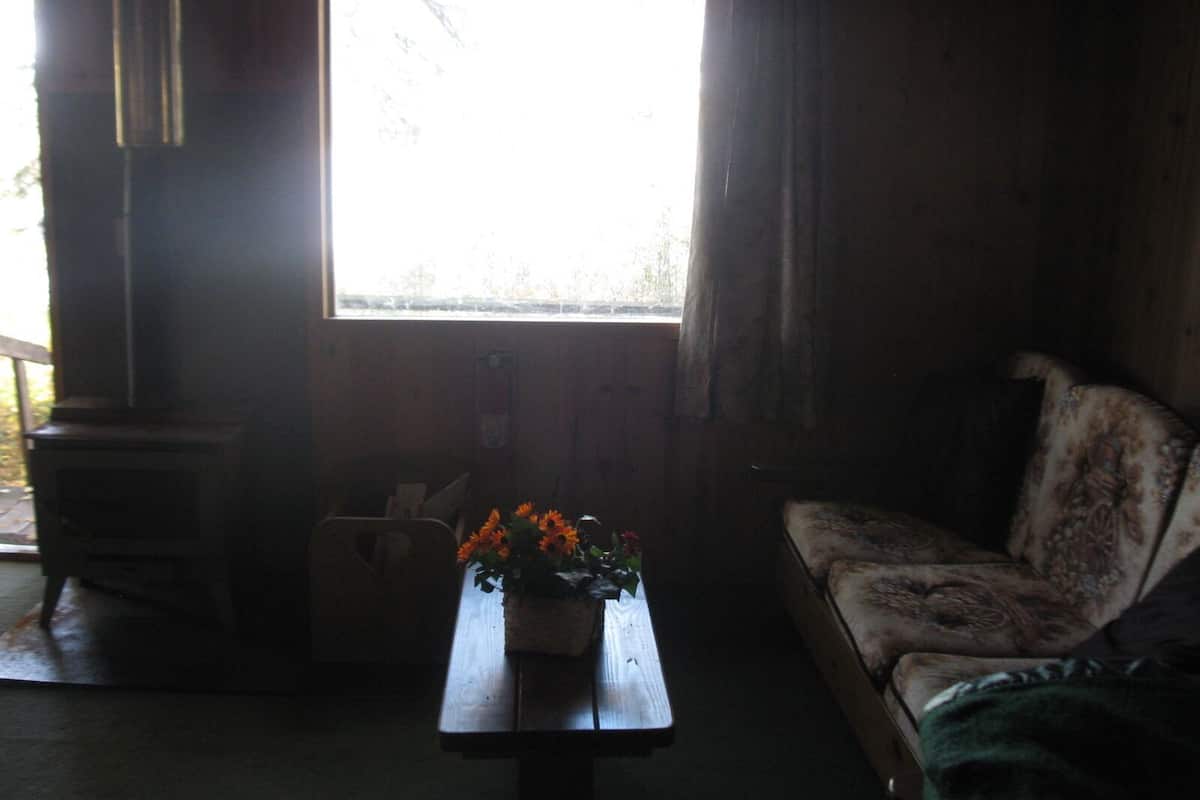 Deluxe Cabin | Living area | Fireplace, toys