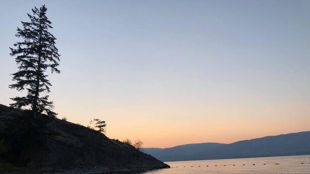 Tyyni järvi auringonlaskun aikaan, vasemmalla puolella puu ja kauempana vuoristo.