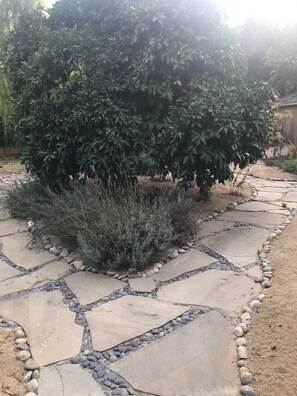 Terrain de l’hébergement 