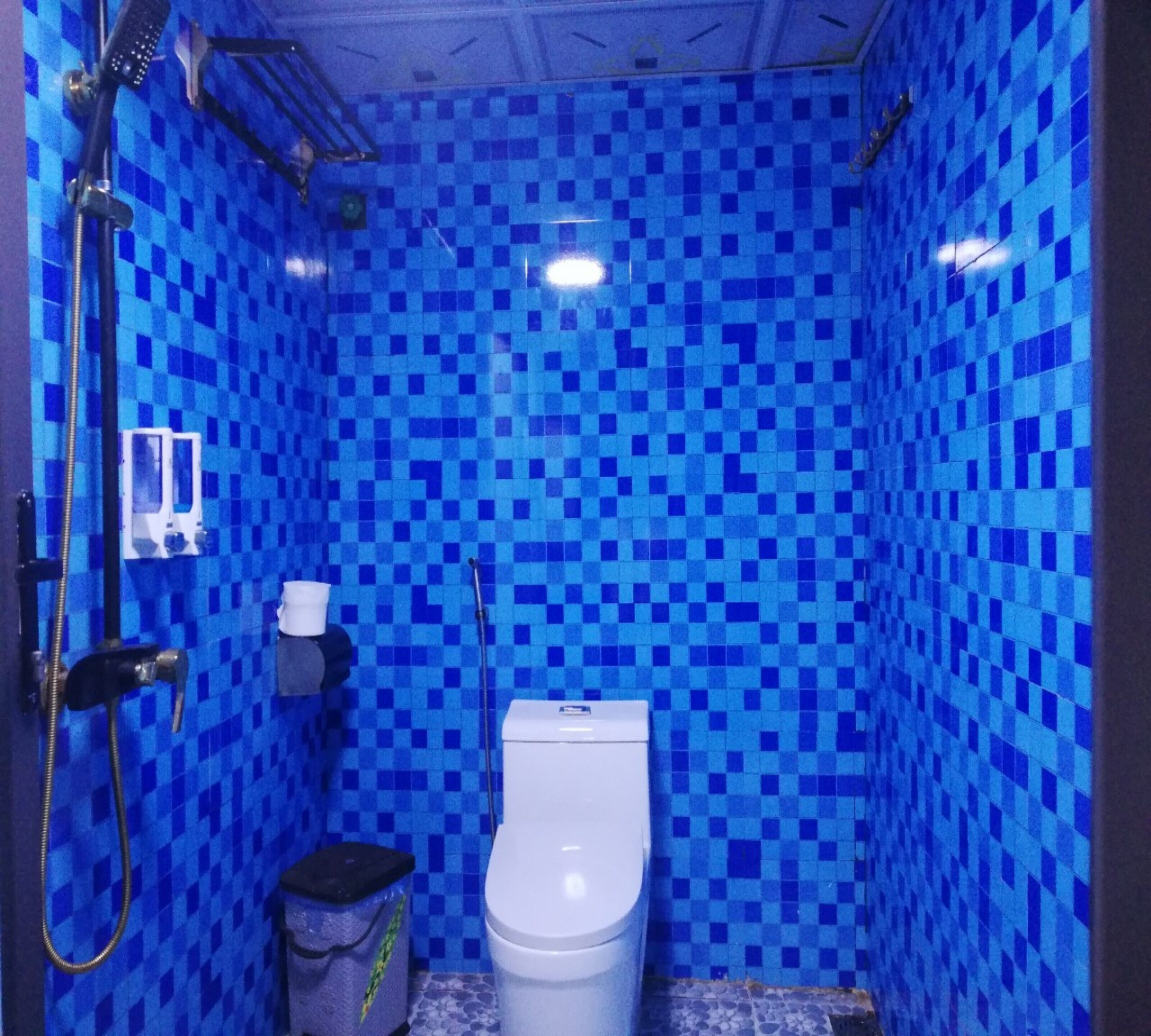 A small bathroom with a blue checkered tile wall, a toilet, a trash bin, and a shower head.