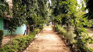 Unclassified image, 5 of 6, button - The Pineapple Express Hostel (Pushkar)