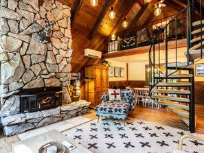 Smart TV, DVD player, books, video library