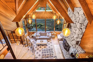 Smart TV, DVD player, books, video library