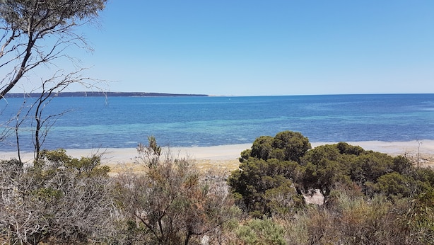 A coastal landscape with a sandy beach, dense shrubbery, and a clear blue sea.