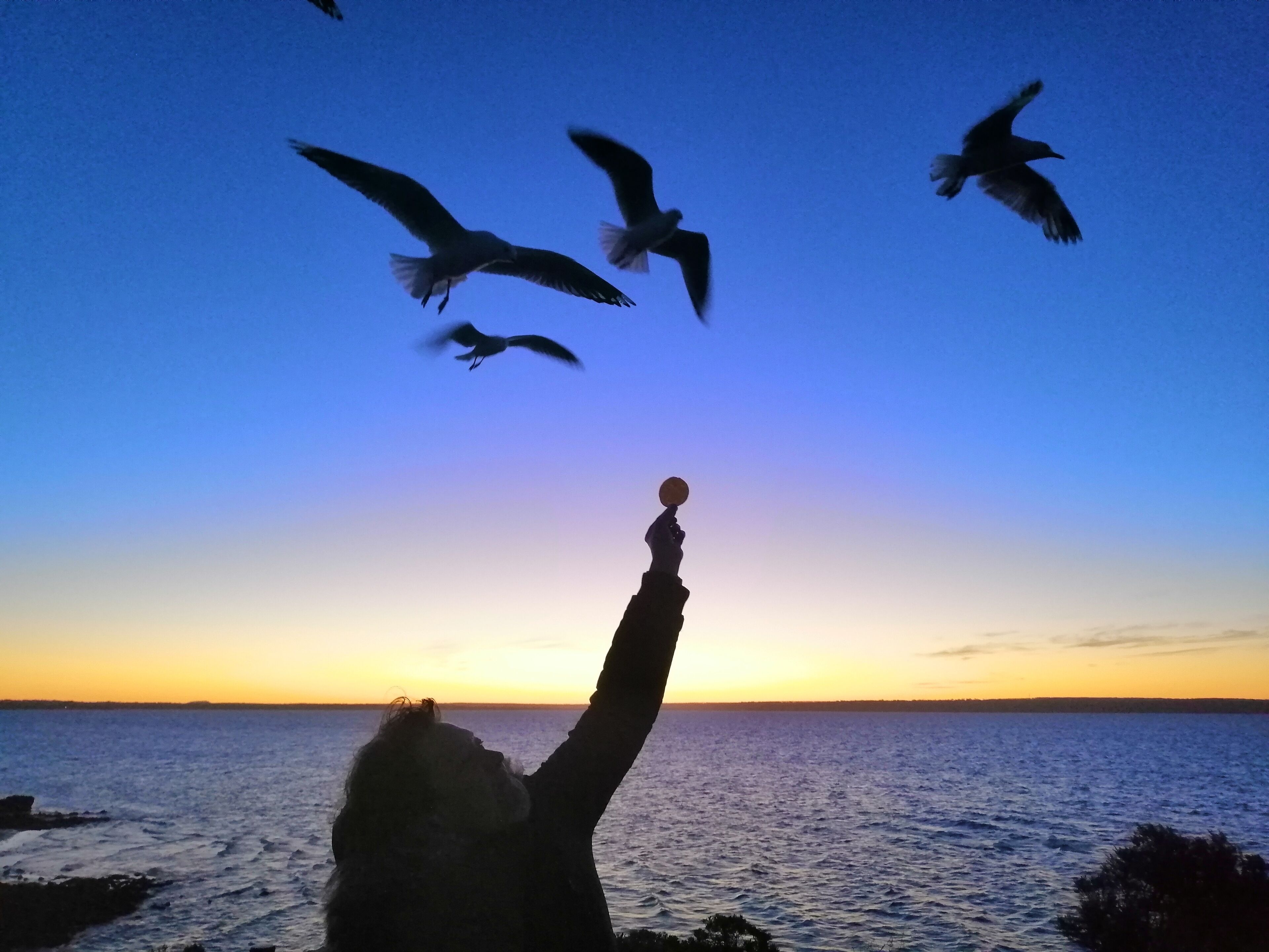 Playa en los alrededores 