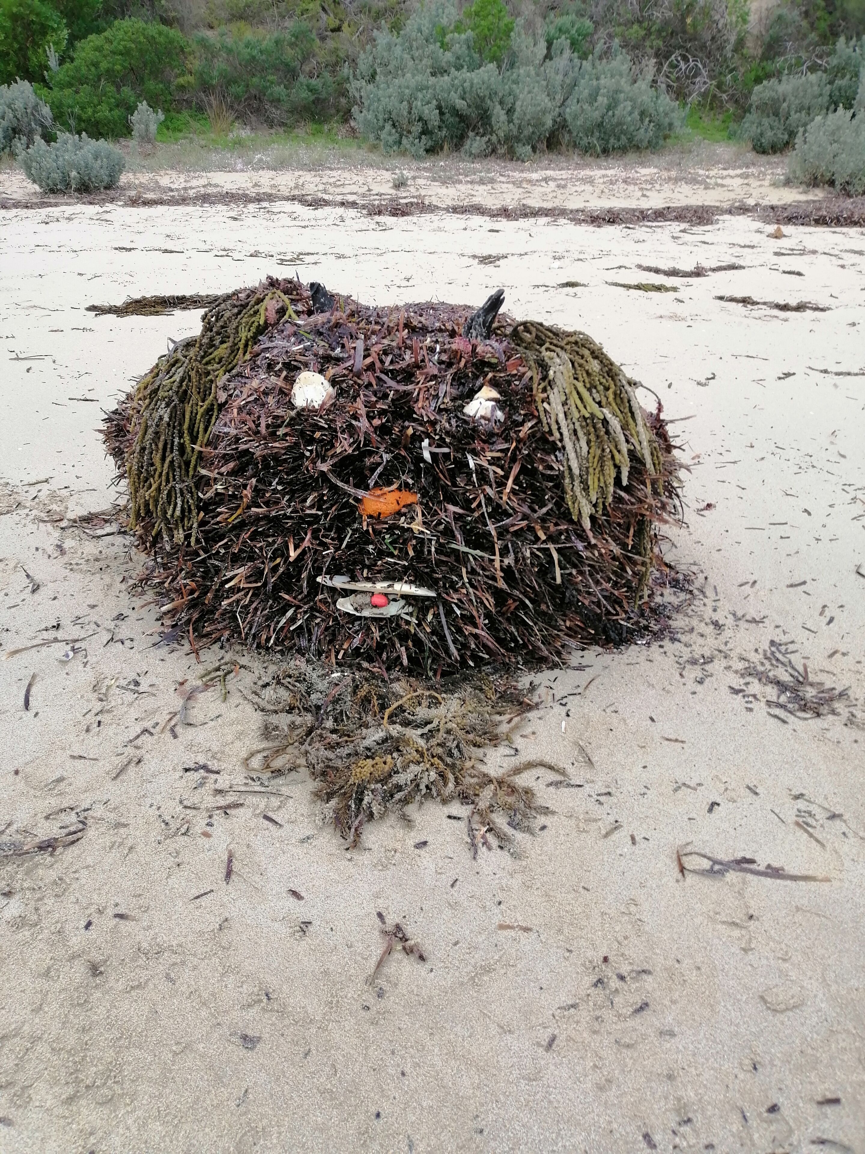 Eine Sandskulptur eines Gesichts mit einem roten Gegenstand in der Mitte, umgeben von Seetang und Treibgut am Strand.