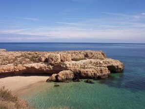 在海滩、沙滩椅