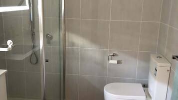 Deluxe Room | Bathroom | Shower, rainfall showerhead, free toiletries, hair dryer