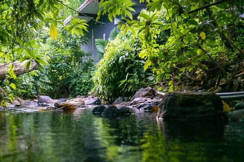 Loft Vintage Chalet Resort