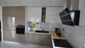A modern kitchen with stainless steel appliances, a built-in oven, and a sink. - Villa Portofino (Okrug)