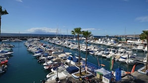 Un port de plaisance où de nombreux bateaux sont amarrés, entouré de palmiers et surplombé d’un ciel bleu azur.