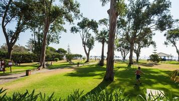 A park with large trees, a grassy area, and a building in the background.