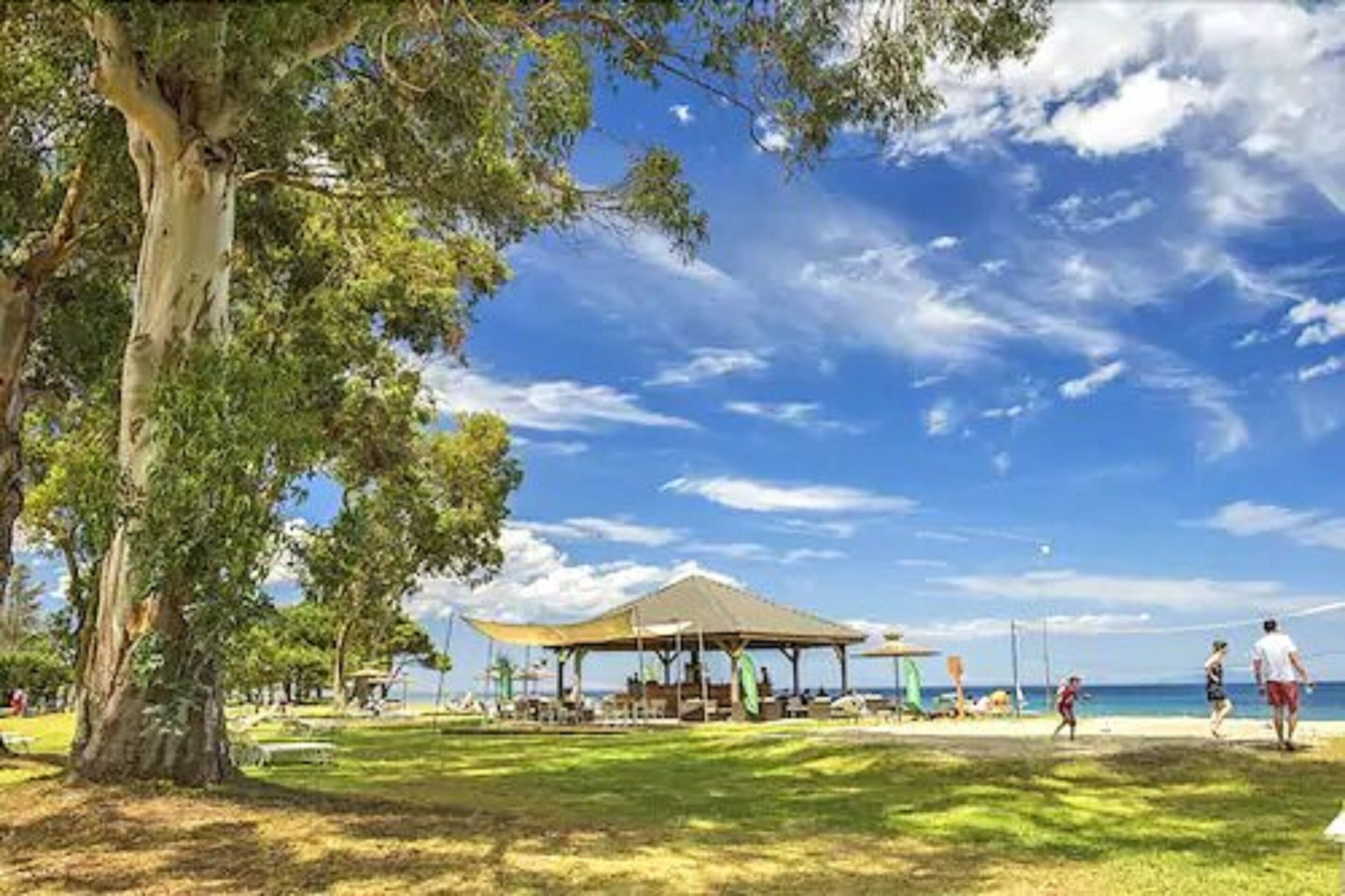 Un parc situé en bord de mer, avec un grand arbre, un espace de repos abrité et une vue sur l’océan.