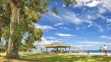 Un parc situé en bord de mer, avec un grand arbre, un espace de repos abrité et une vue sur l’océan.