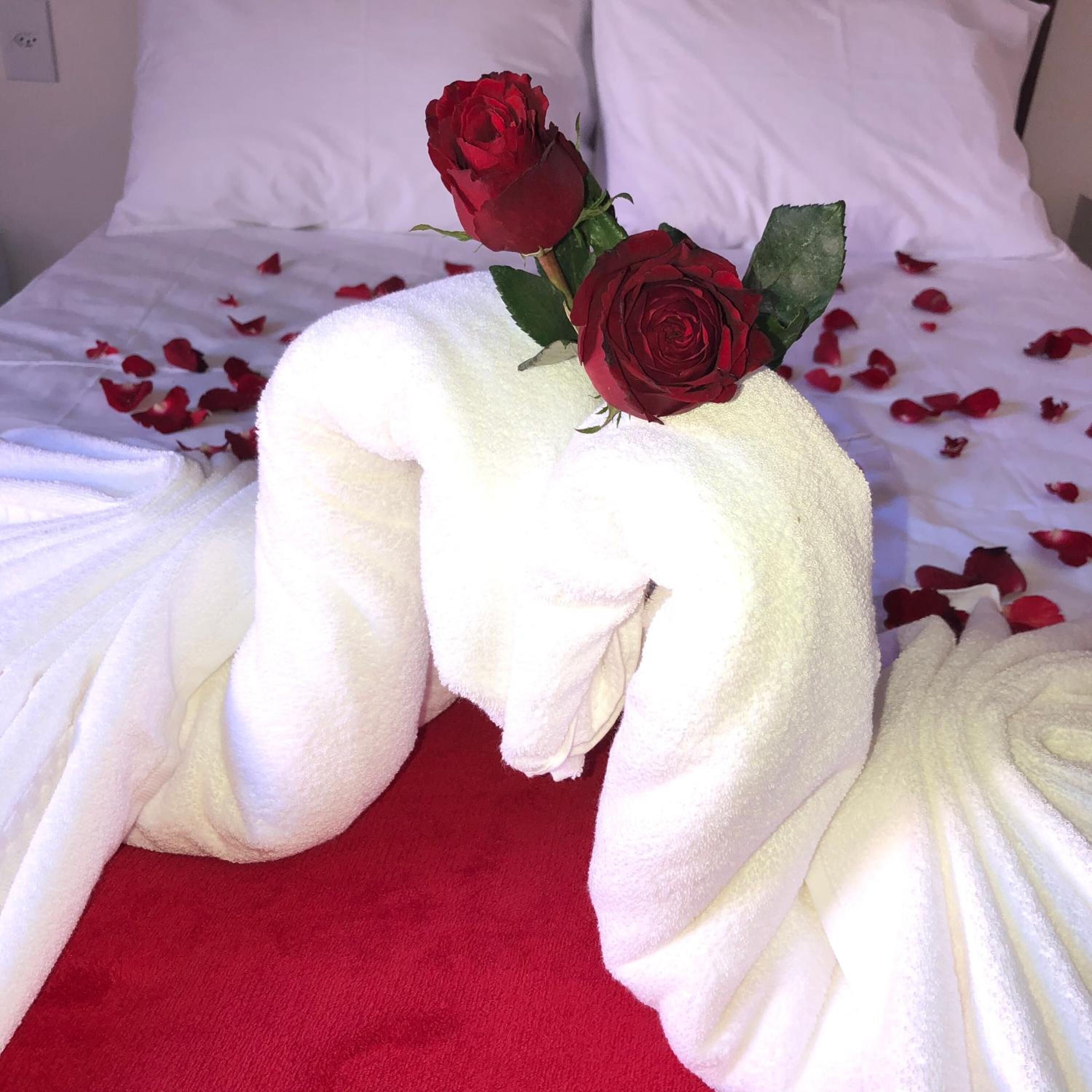 Foto - Pousada Casa Serra Alves