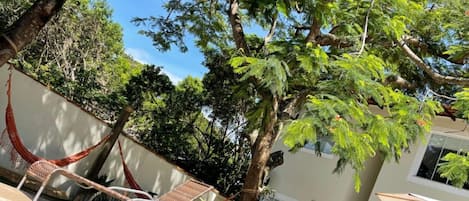 Outdoor pool, open 9:00 AM to 9:00 PM, pool loungers