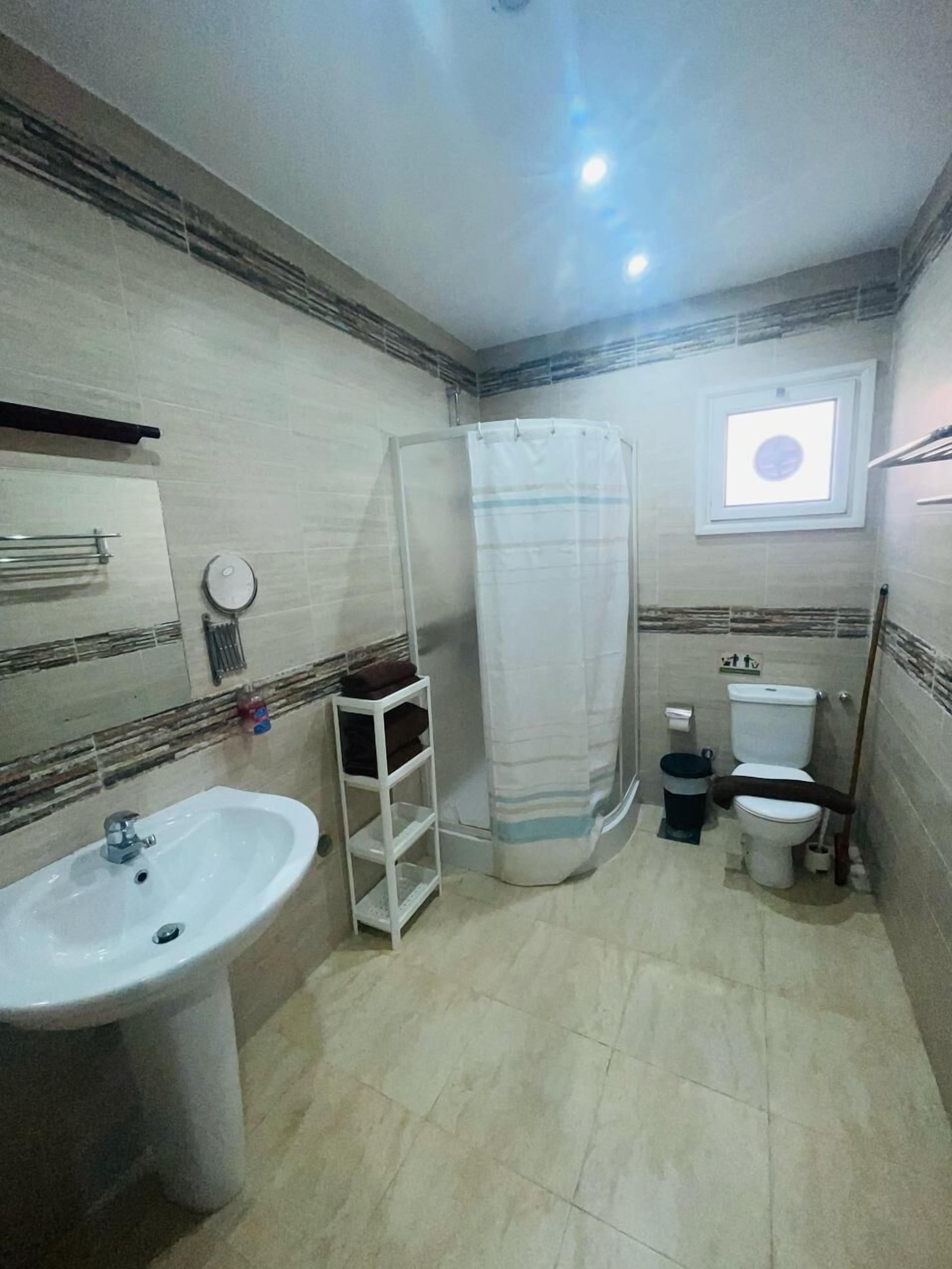 Een badkamer met een wastafel, toilet, douche en een klein schapje met toiletartikelen.