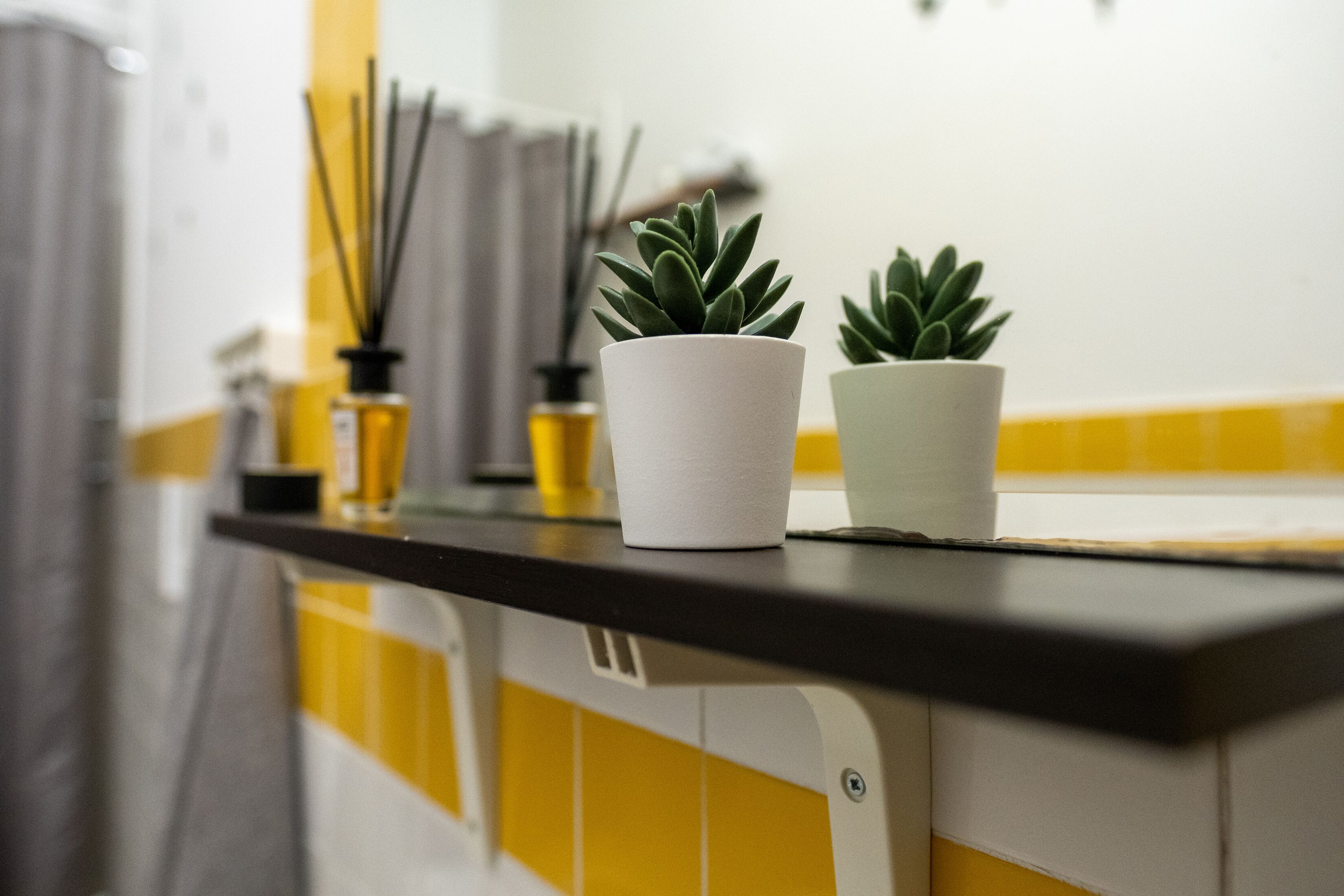 Uma bancada de cozinha com duas plantas em vasos, um porta-toalhas de papel branco e um revestimento de azulejos amarelo e branco.