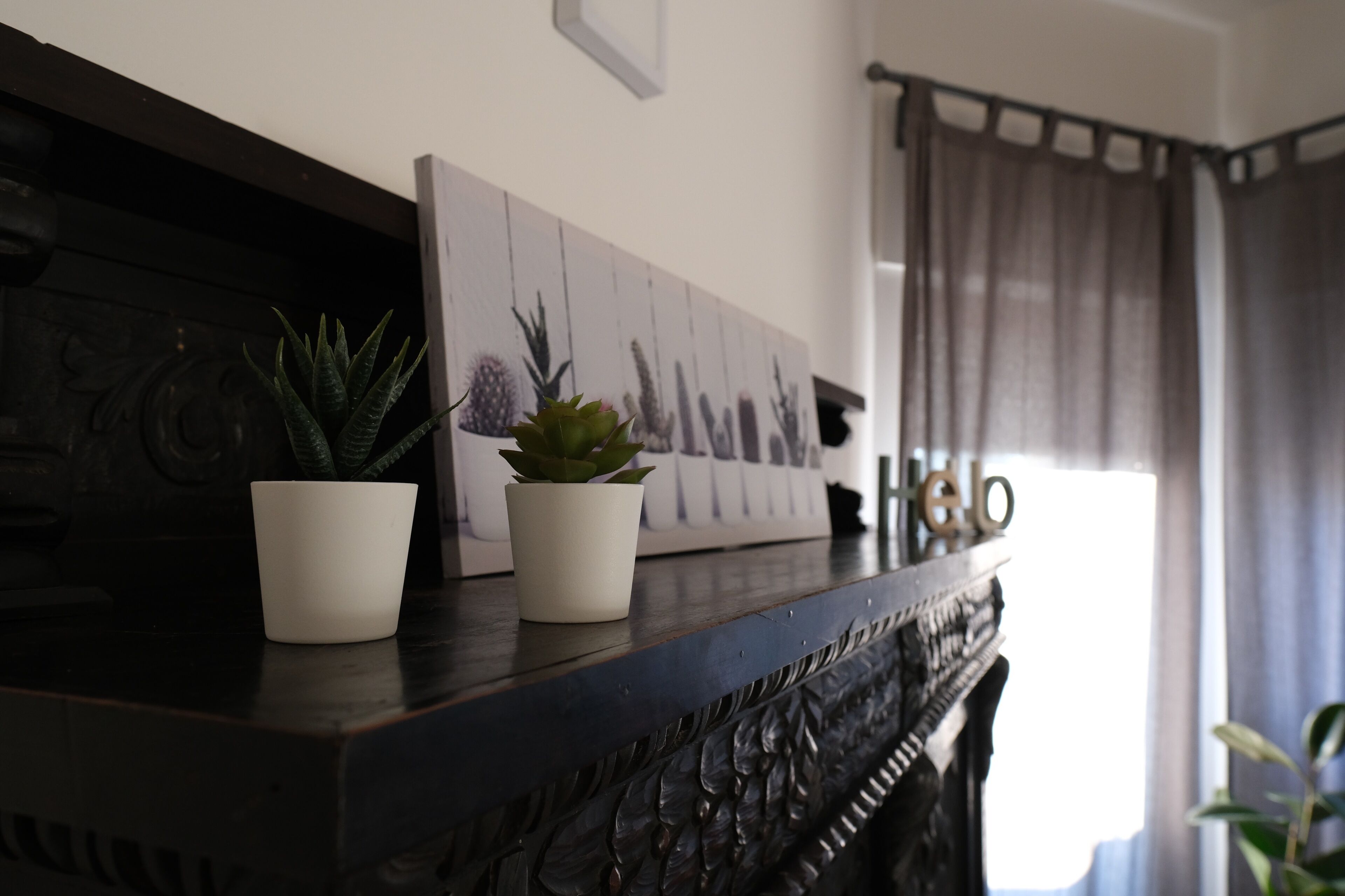 A dark wooden console table with two potted plants and a framed picture of cacti.