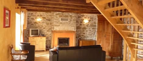 Televisión, chimenea y libros