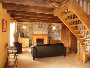 TV, fireplace, books