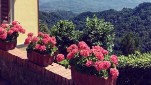 A balcony with potted pink flowers and a view of a mountain range. - Splendid Liberty villa overlooking the lush green Tuscan valleys and mountains (Barga)
