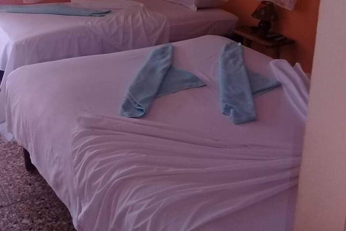 Individually decorated, individually furnished, blackout curtains