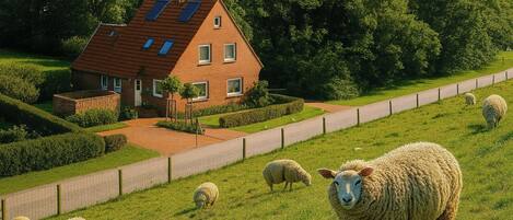 Áreas de la propiedad