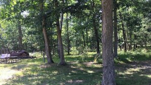 Ein bewaldetes Gebiet mit Picknicktisch und Feuerstelle.
