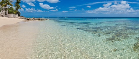 在海滩