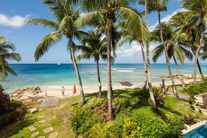 A tropical beach setting with palm trees, a clear blue sea, and a wooden deck leading to the shore.