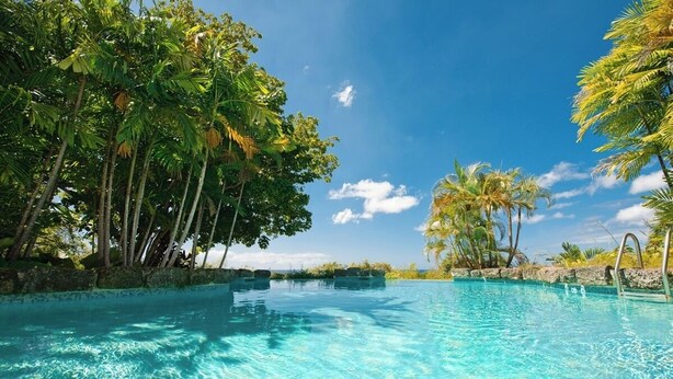 A clear blue pool surrounded by lush tropical trees and a clear sky. - 17th Century Sugar Mill Near Beach - Mullins Mill (Mullins)
