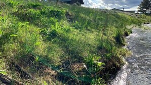 Une colline verdoyante, traversée par un ruisseau, et deux bâtiments modernes dotés de toits inclinés.